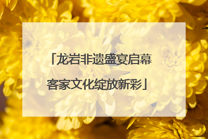 龙岩非遗盛宴启幕 客家文化绽放新彩