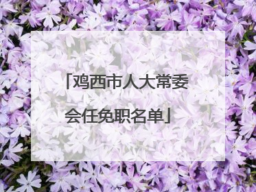 鸡西市人大常委会任免职名单