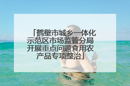 鹤壁市城乡一体化示范区市场监管分局开展重点问题食用农产品专项整治