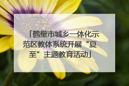 鹤壁市城乡一体化示范区教体系统开展“夏至”主题教育活动