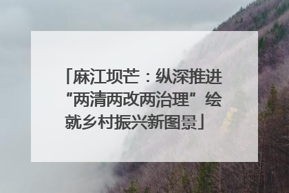 麻江坝芒：纵深推进“两清两改两治理”绘就乡村振兴新图景