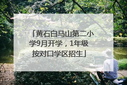 黄石白马山第二小学9月开学，1年级按对口学区招生