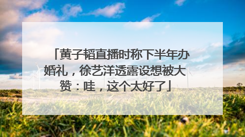 黄子韬直播时称下半年办婚礼，徐艺洋透露设想被大赞：哇，这个太好了