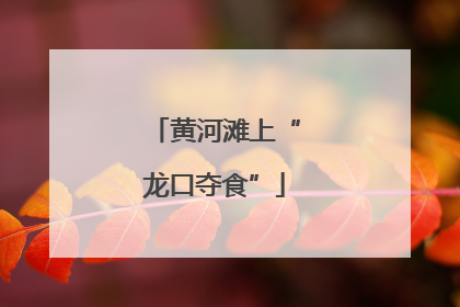 黄河滩上“龙口夺食”