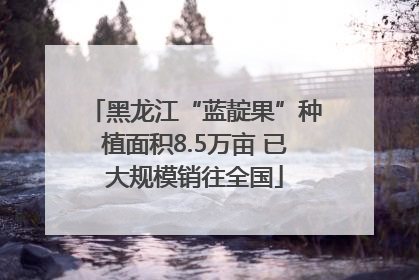 黑龙江“蓝靛果”种植面积8.5万亩 已大规模销往全国