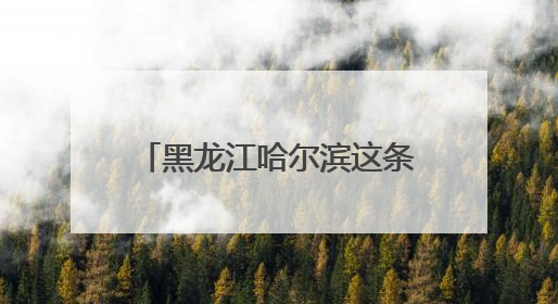黑龙江哈尔滨这条660米“网红街道”，日均万名食客共享“平安滋味”