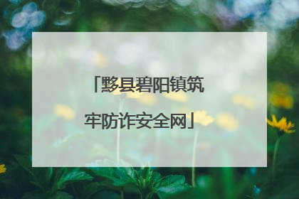 黟县碧阳镇筑牢防诈安全网