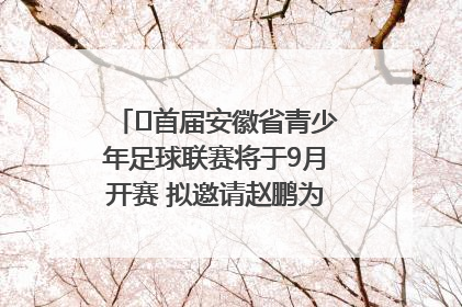 ﻿首届安徽省青少年足球联赛将于9月开赛 拟邀请赵鹏为先导赛开球