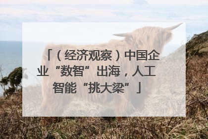 （经济观察）中国企业“数智”出海，人工智能“挑大梁”