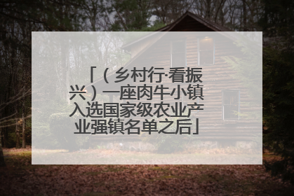 （乡村行·看振兴）一座肉牛小镇入选国家级农业产业强镇名单之后
