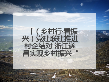（乡村行·看振兴）党建联建推进村企结对 浙江遂昌实现乡村振兴“加速度”