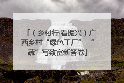（乡村行·看振兴）广西乡村“绿色工厂” “蔬”写致富新答卷