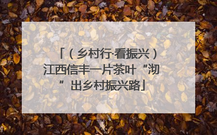 （乡村行·看振兴）江西信丰一片茶叶“沏”出乡村振兴路