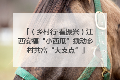 （乡村行·看振兴）江西安福“小西瓜”撬动乡村共富“大支点”