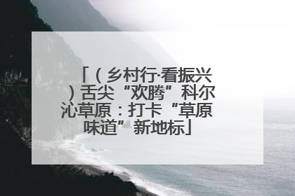 （乡村行·看振兴）舌尖“欢腾”科尔沁草原：打卡“草原味道”新地标