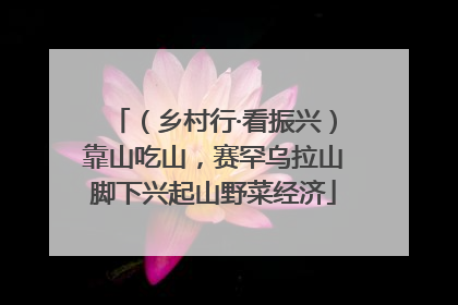 （乡村行·看振兴）靠山吃山，赛罕乌拉山脚下兴起山野菜经济