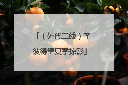 （外代二线）圣彼得堡夏季掠影