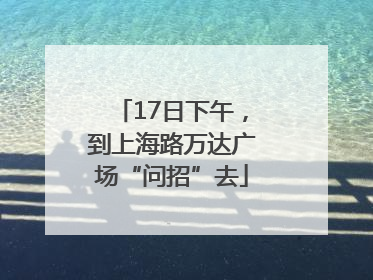 17日下午，到上海路万达广场“问招”去