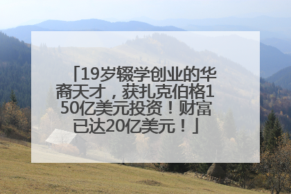 19岁辍学创业的华裔天才，获扎克伯格150亿美元投资！财富已达20亿美元！