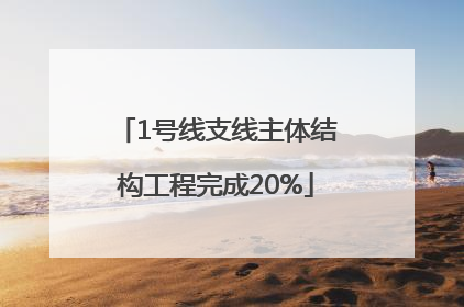 1号线支线主体结构工程完成20%