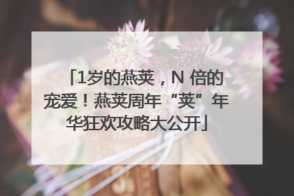 1岁的燕荚，N 倍的宠爱！燕荚周年“荚”年华狂欢攻略大公开