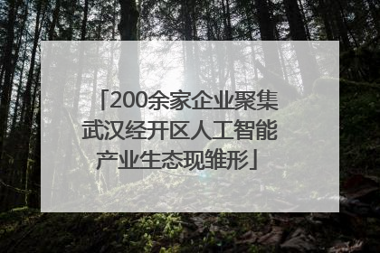 200余家企业聚集 武汉经开区人工智能产业生态现雏形