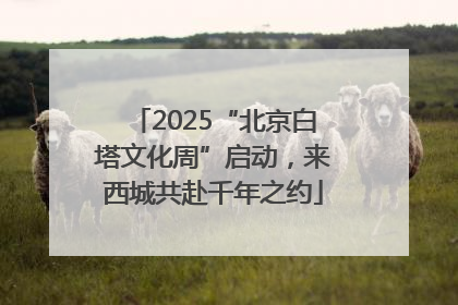 2025“北京白塔文化周”启动，来西城共赴千年之约