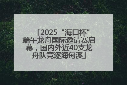 2025“海口杯”端午龙舟国际邀请赛启幕，国内外近40支龙舟队竞逐海甸溪