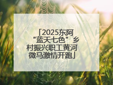 2025东阿“蓝天七色”乡村振兴职工黄河微马激情开跑