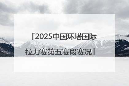 2025中国环塔国际拉力赛第五赛段赛况