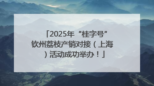 2025年“桂字号”钦州荔枝产销对接（上海）活动成功举办！