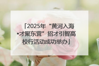 2025年“黄河入海•才聚东营”招才引智高校行活动成功举办