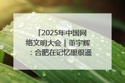2025年中国网络文明大会｜董宇辉：合肥在记忆里很遥远也很亲切
