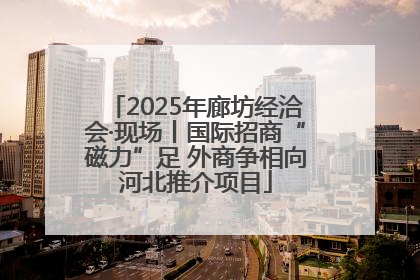 2025年廊坊经洽会·现场丨国际招商“磁力”足 外商争相向河北推介项目