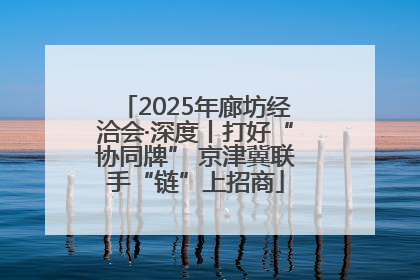2025年廊坊经洽会·深度丨打好“协同牌” 京津冀联手“链”上招商