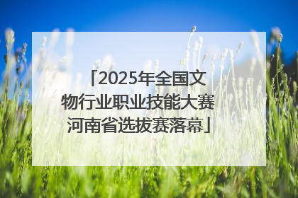 2025年全国文物行业职业技能大赛河南省选拔赛落幕