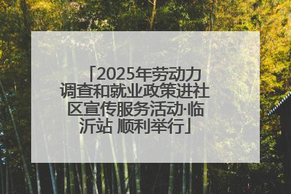 2025年劳动力调查和就业政策进社区宣传服务活动·临沂站 顺利举行