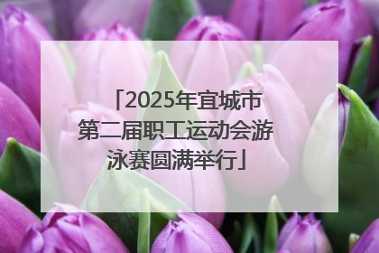 2025年宜城市第二届职工运动会游泳赛圆满举行