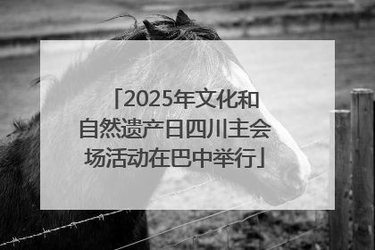 2025年文化和自然遗产日四川主会场活动在巴中举行