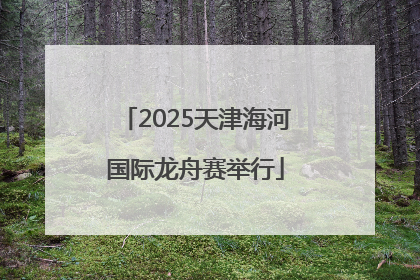 2025天津海河国际龙舟赛举行