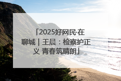 2025好网民·在聊城｜王晨：检察护正义 青春筑晴朗