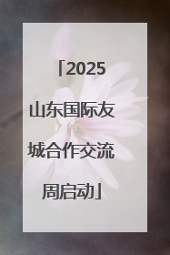 2025山东国际友城合作交流周启动