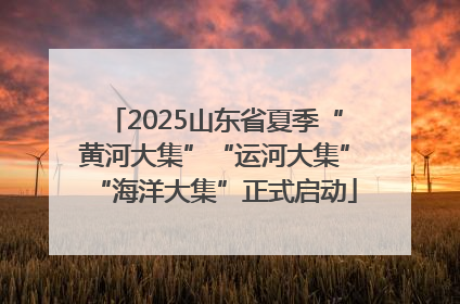 2025山东省夏季“黄河大集”“运河大集”“海洋大集”正式启动