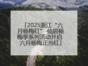2025浙江“六月杨梅红”·仙居杨梅季系列活动开启 六月杨梅正当红