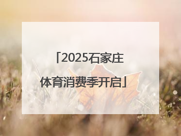 2025石家庄体育消费季开启