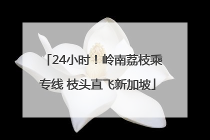 24小时！岭南荔枝乘专线 枝头直飞新加坡