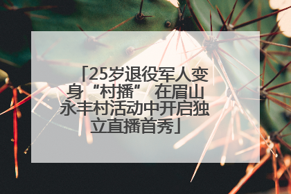 25岁退役军人变身“村播” 在眉山永丰村活动中开启独立直播首秀