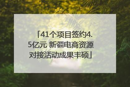 41个项目签约4.5亿元 新疆电商资源对接活动成果丰硕