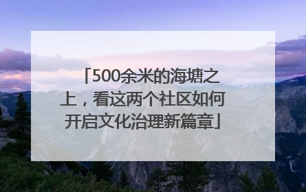 500余米的海塘之上，看这两个社区如何开启文化治理新篇章