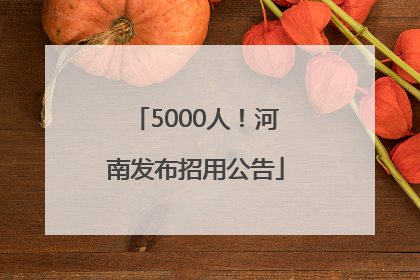 5000人！河南发布招用公告